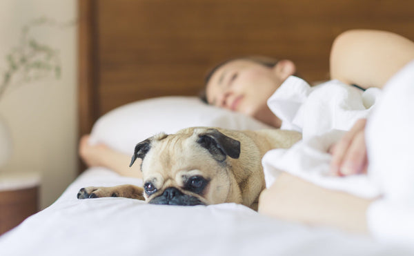 5 TIPS TO EASILY IMPROVE YOUR SLEEP